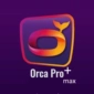 Orca-pro-plus-1month-active-code